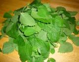 Herbal Remedies For Cold Sore